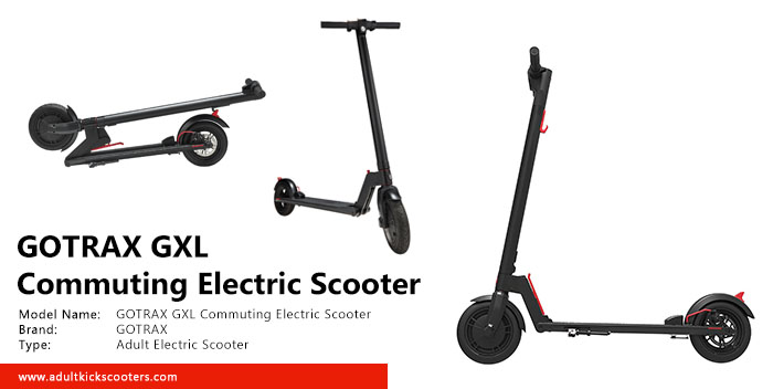 GOTRAX GXL Commuting Electric Scooter Review