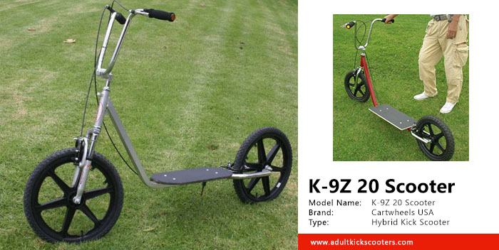 K-9Z 20 Scooter Review